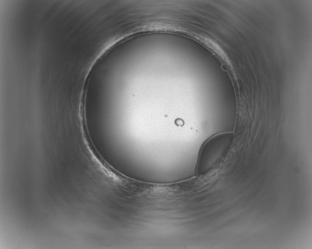 X0000071350847200607071722