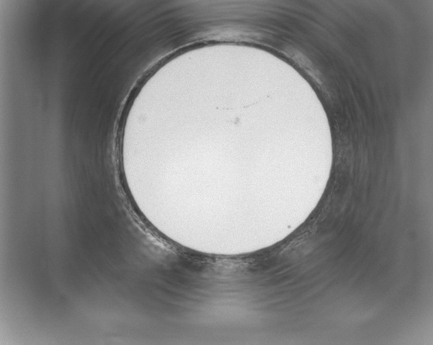 X0000071350848200607071722