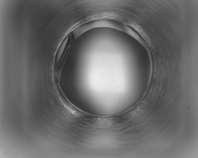 X0000071350850200607071722