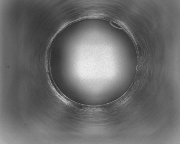 X0000071350851200607071722