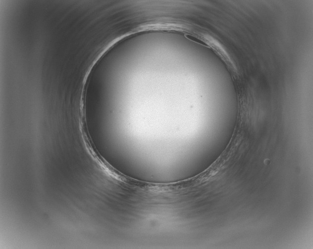 X0000071350852200607071722