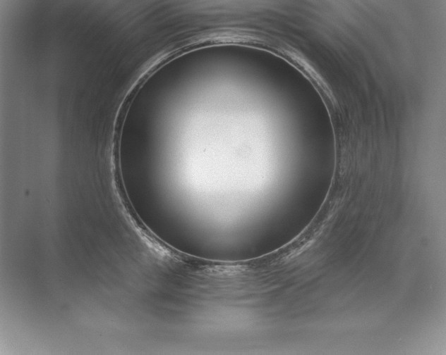 X0000071350853200607071722