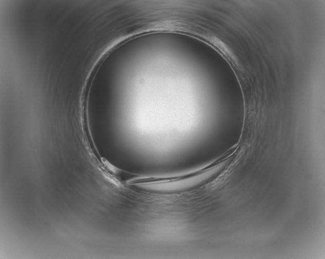 X0000071350854200607071722