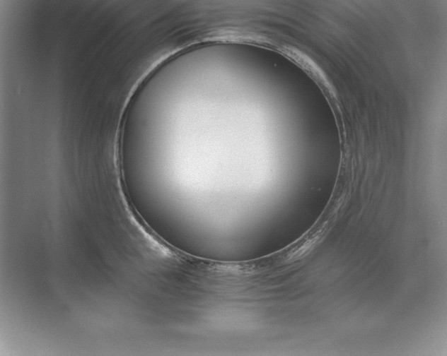 X0000071350855200607071722