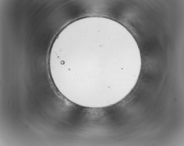 X0000071350856200607071722