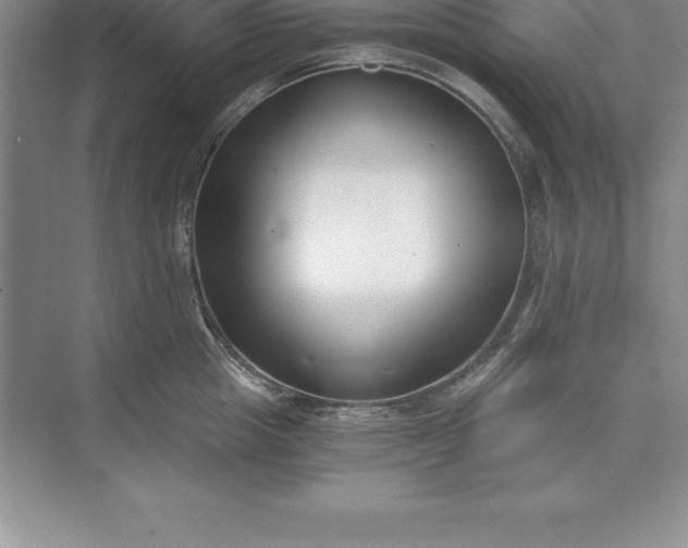 X0000071350857200607071722