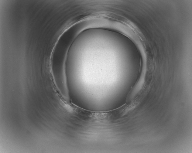 X0000071350858200607071722