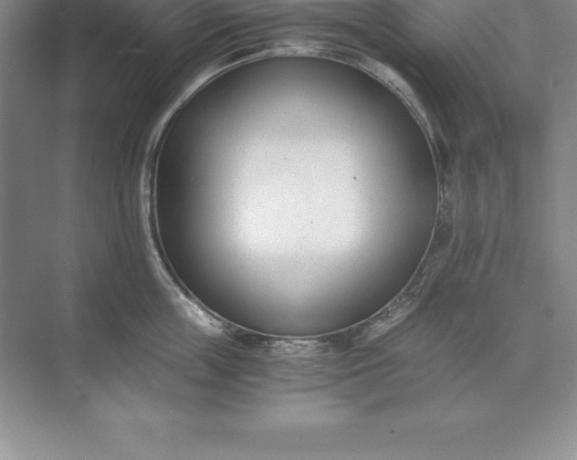 X0000071350859200607071722