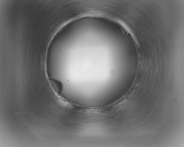 X0000071350861200607071722