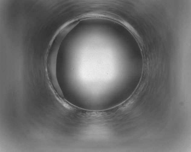 X0000071350862200607071722