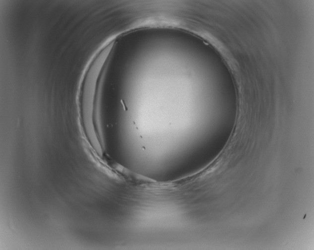 X0000071350864200607071722