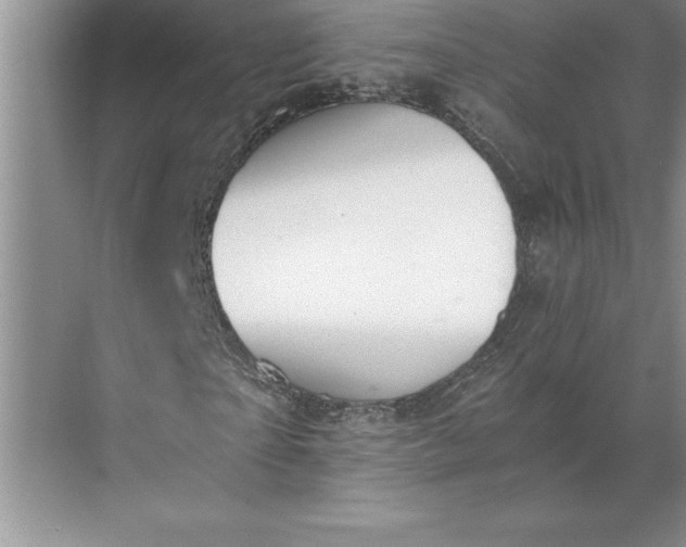 X0000071350865200607071721