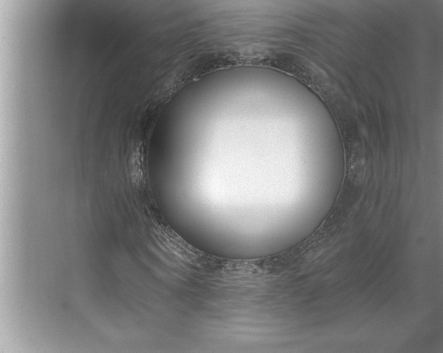 X0000071350866200607071721