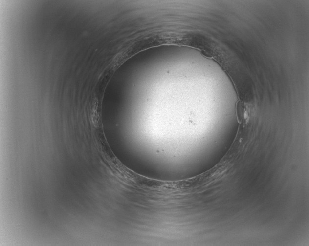 X0000071350867200607071721