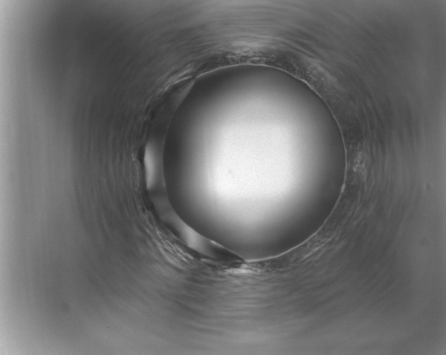 X0000071350868200607071721