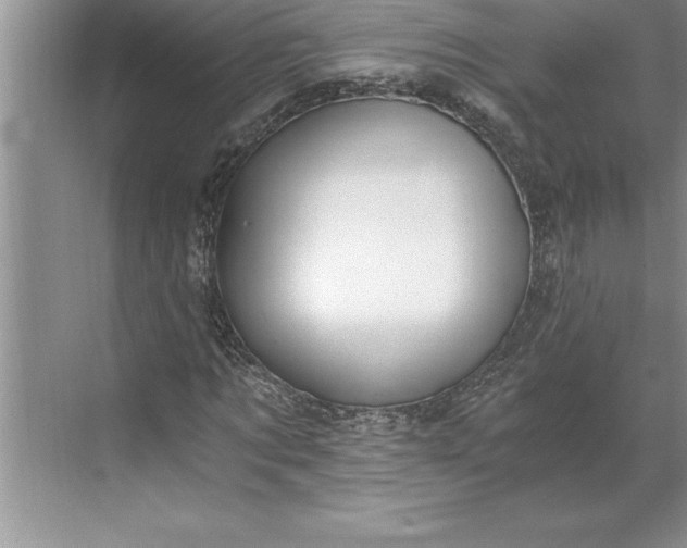 X0000071350869200607071721