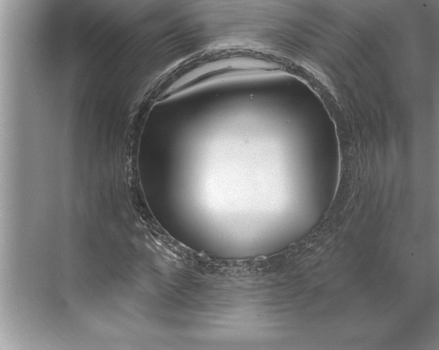 X0000071350872200607071721