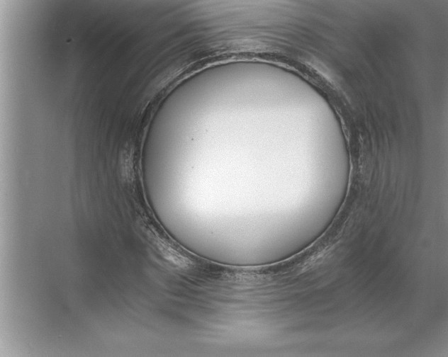 X0000071350873200607071721