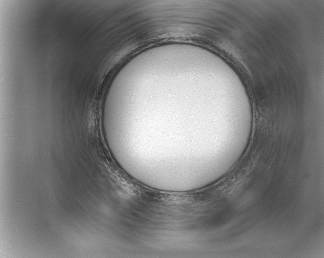 X0000071350874200607071721