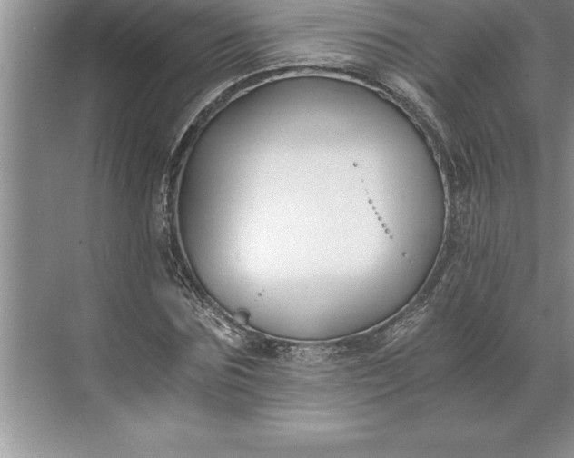 X0000071350875200607071721