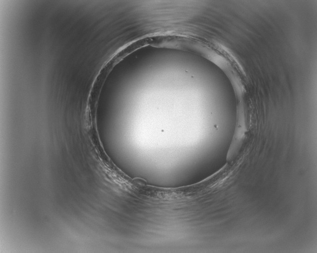 X0000071350876200607071721