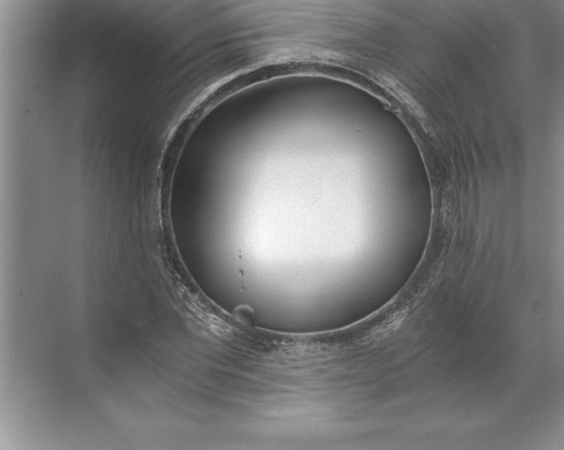 X0000071350877200607071721