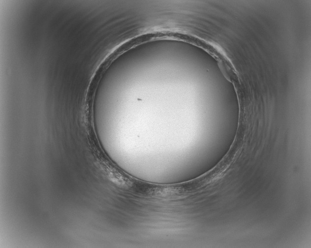 X0000071350879200607071721