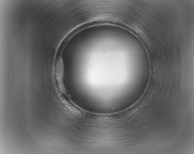 X0000071350880200607071721