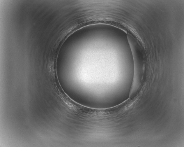 X0000071350881200607071721