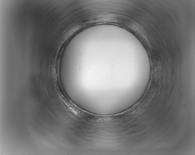 X0000071350882200607071721