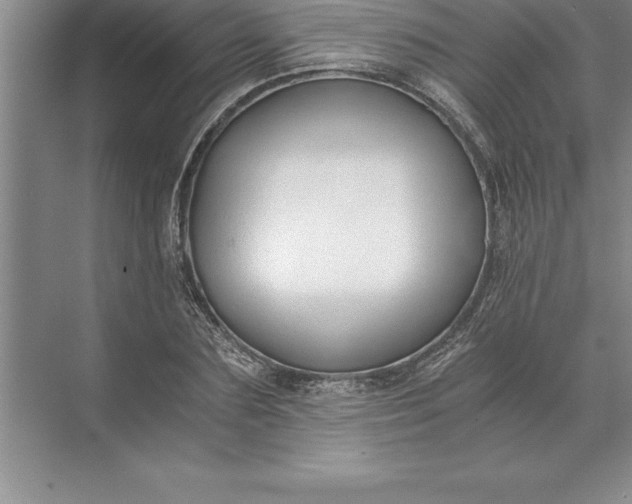 X0000071350883200607071721