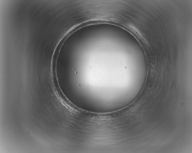 X0000071350884200607071721