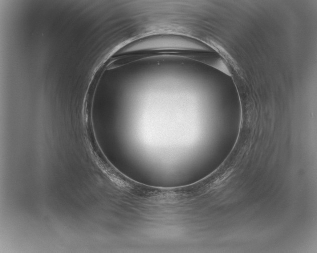 X0000071350885200607071721