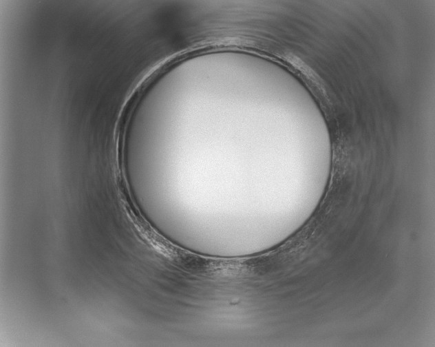 X0000071350886200607071721