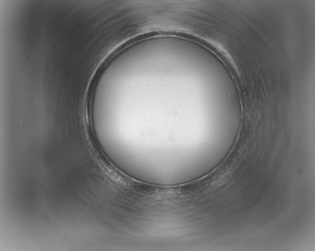 X0000071350887200607071721