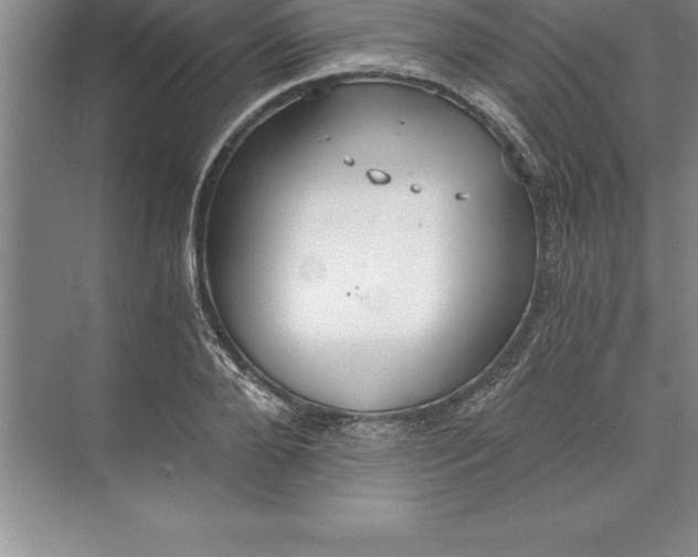 X0000071350888200607071721