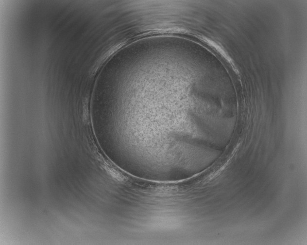 X0000071350889200607071721