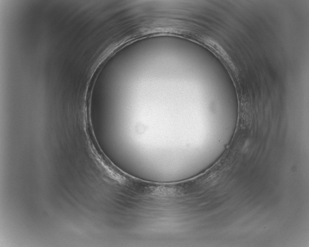 X0000071350890200607071721