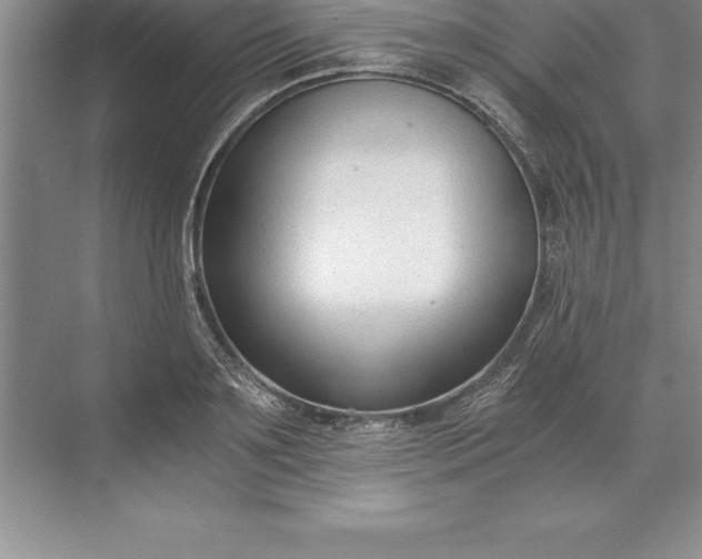 X0000071350891200607071721