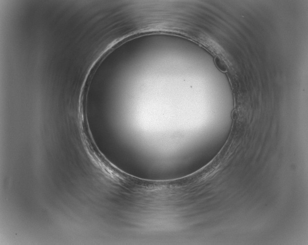 X0000071350892200607071721