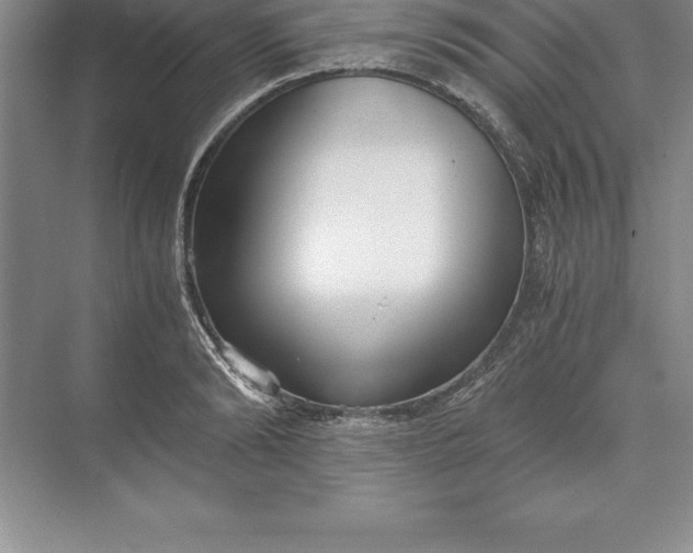 X0000071350894200607071721