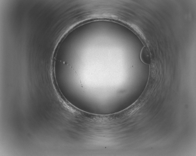 X0000071350895200607071721