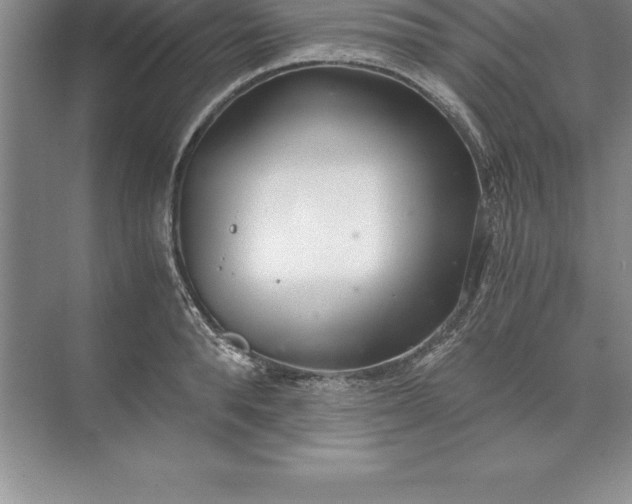 X0000071350896200607071721