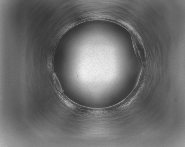 X0000071350897200607071721