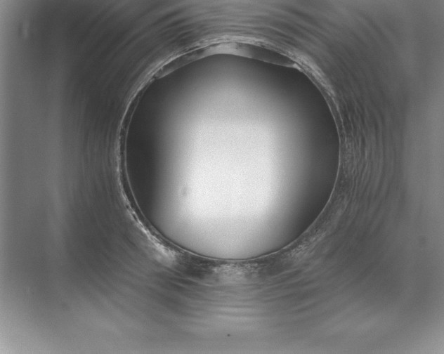 X0000071350898200607071721