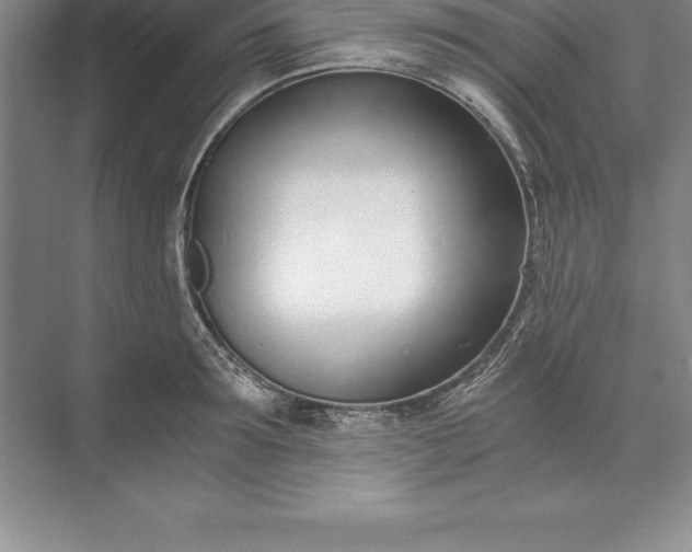 X0000071350899200607071721