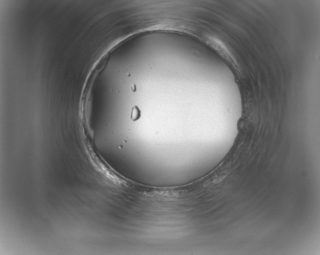 X0000071350900200607071721