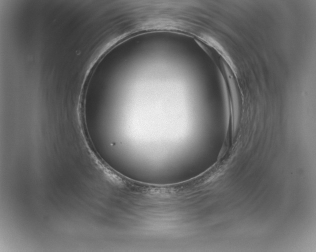 X0000071350901200607071721