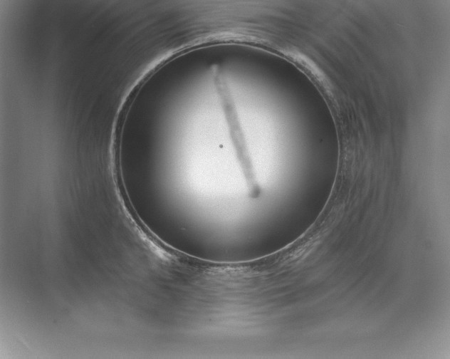 X0000071350902200607071721