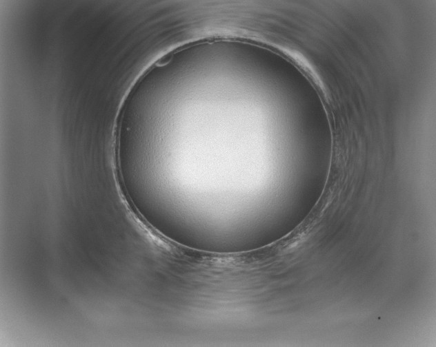 X0000071350903200607071721